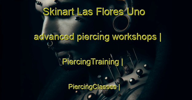 Skinart Las Flores Uno advanced piercing workshops | PiercingTraining | PiercingClasses | SkinartTraining-Mexico